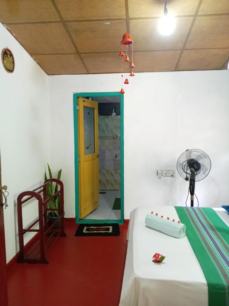 Near The Canal Homstay 锡吉里亚 外观 照片